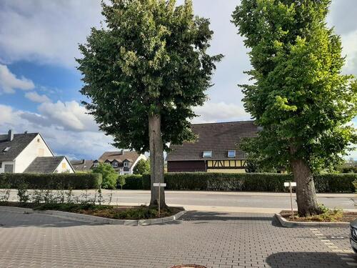 Foto - Etagenwohnung in Fulda zur Miete