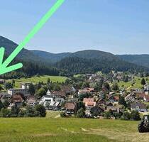 1,5-Zi-Wohnung in der Rechtmurgstr. 23, 72270 Baiersbronn-Obertal