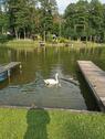 Foto - Ferienhaus am See 610€Woche - 610,00&nbsp;EUR Kaltmiete,