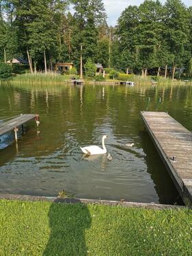 Foto - Ferienhaus am See 610€Woche - 610,00&nbsp;EUR Kaltmiete,