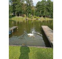 Ferienhaus am See 610€Woche - 610,00&nbsp;EUR Kaltmiete, in Neuruppin (PLZ: 16816)