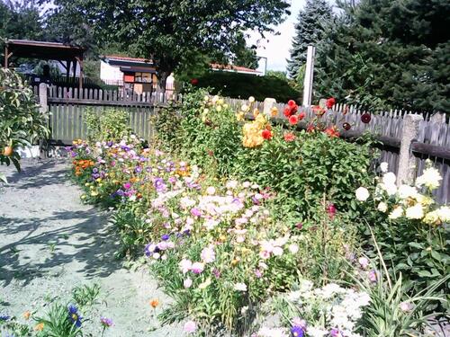 Foto - Grundstück in Leipzig