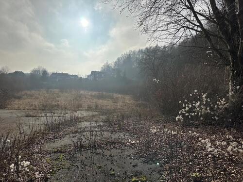 Foto - Grundstück in Herzberg am Harz