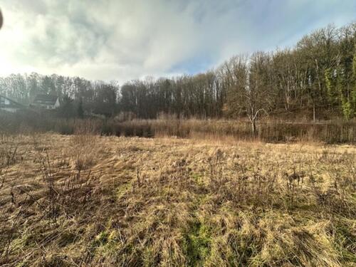 Foto - Grundstück in Herzberg am Harz zur Miete