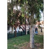 Maisonetten Wohnung - 750,00 EUR Kaltmiete, in Osterwieck (PLZ: 38836) Dardesheim