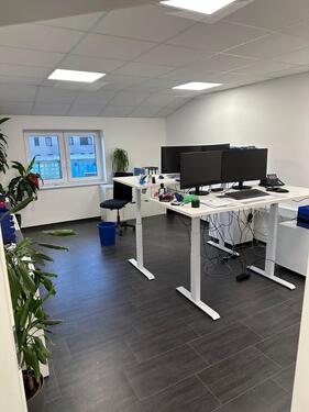 Foto - andere in Werlte