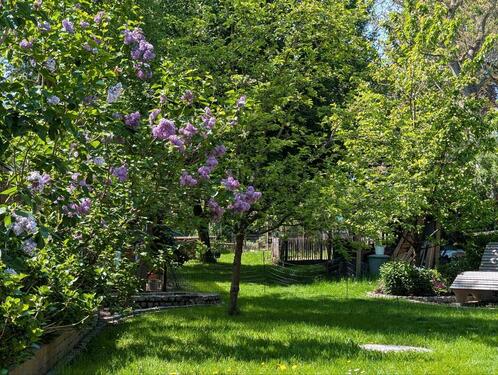 Foto - 9 Zimmer Doppelhaushälfte in Bochum