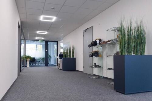 Foto - andere in Friedrichshafen