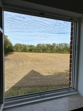 Foto - Etagenwohnung in Rieste zur Miete