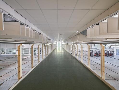 Foto - andere in Buxtehude zur Miete