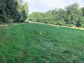 Foto - Grundstück in Münchenbernsdorf