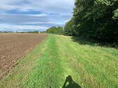 Foto - Grundstück in Münchenbernsdorf zur Miete