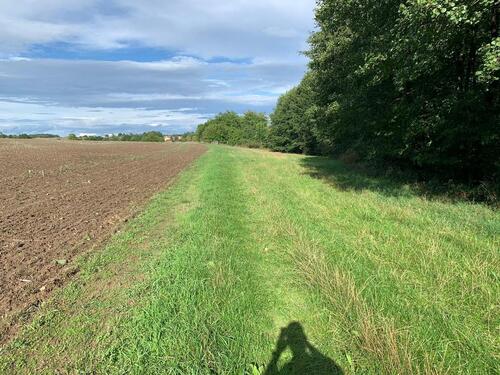 Foto - Grundstück in Münchenbernsdorf zur Miete