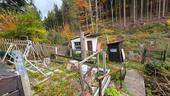 Foto - Grundstück in Seiffen/Erzgebirge