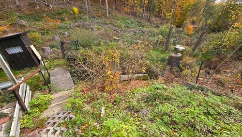 Foto - Grundstück in Seiffen/Erzgebirge zur Miete