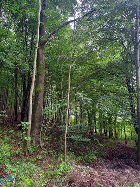 Foto - Grundst&uuml;ck in Berlin