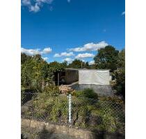 Liebevoll gepflegter Kleingarten in Heidenau abzugeben