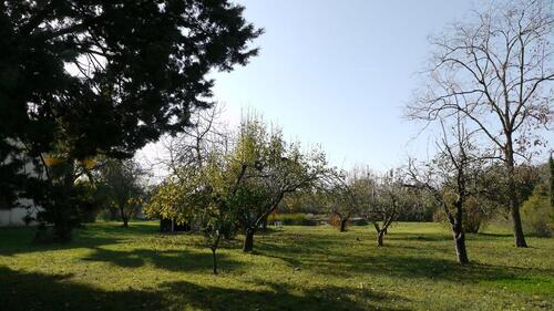 Foto - 