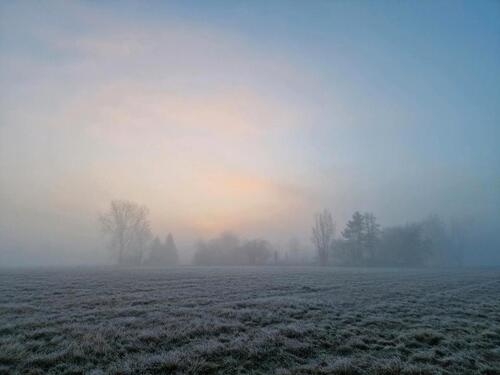 Foto - Kuschelige 2 Zimmer Wohnung mitten in der Natur