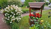 Foto - Einfamilienhaus zum Kaufen in Sulingen