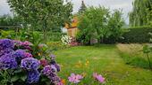 Foto - Einfamilienhaus in Sulingen