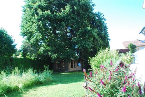 Foto - 11 Zimmer Einfamilienhaus in Pforzen