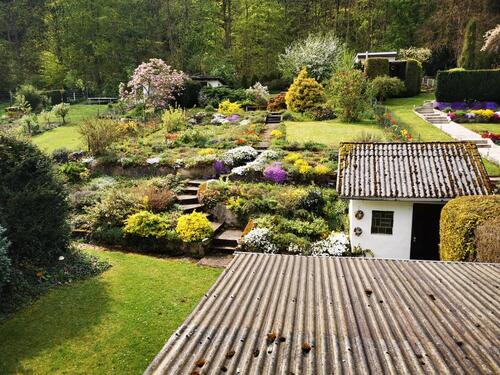 Foto - 4 Zimmer Einfamilienhaus zum Kaufen in Salzgitter