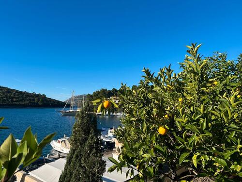 Foto - 4 Zimmer Etagenwohnung zum Kaufen in München