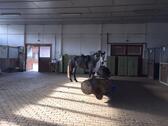 Foto - andere in Mulda/Sa.