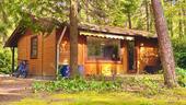 Foto - Naturidyll im Teutoburger Wald – liebevoll renoviertes Holzhaus