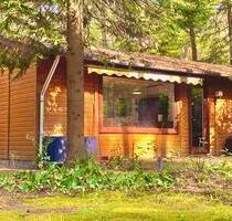 Naturidyll im Teutoburger Wald – liebevoll renoviertes Holzhaus - Bielefeld Sennestadt