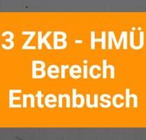 3 ZKB - Hann. Münden - Bereich Entenbusch -