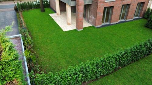 Foto - 3 Zimmer Erdgeschoßwohnung zur Miete in Bocholt