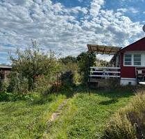 Permakultur Naschgarten, Schrebergarten - Erfurt Andreasvorstadt