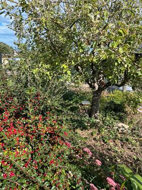 Foto - Grundst&uuml;ck in Erfurt