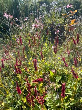Foto - Grundst&uuml;ck in Erfurt zur Miete