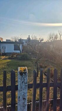 Foto - Grundst&uuml;ck zur Miete in Leipzig