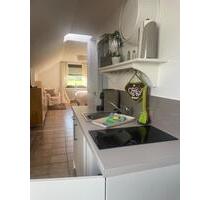 Charmantes Apartment an der Weser - Bevern