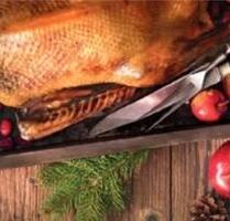 ☀️Halloween Spezial bis zu schaurige 20%☀️ - Sagard