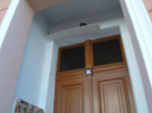 Foto - 3 Zimmer Etagenwohnung zur Miete in Altdöbern