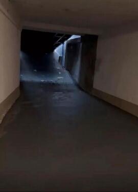 Foto - andere in Mannheim