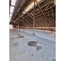 Lagerhalle Lagerraum - 4,00&nbsp;EUR Kaltmiete, ca.&nbsp; 475,00&nbsp;m&sup2; in Wedemark (PLZ: 30900)