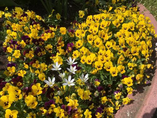 Foto - Helle kleine 2-Zimmer-DG-Wohnung in Waldbronn