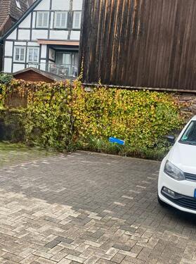 Foto - Stellplatz - 50,00 EUR Miete,