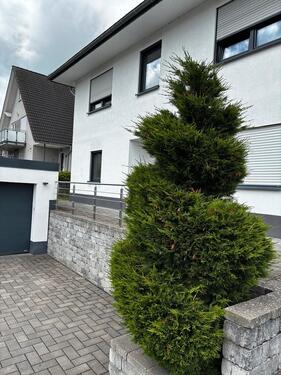 Foto - 3 Zimmer Bungalow in Wenden