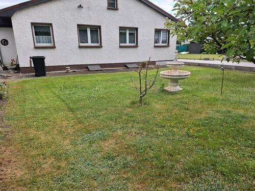 Foto - Einfamilienhaus zum Kaufen in Berlin