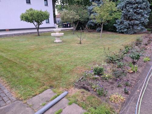 Foto - Einfamilienhaus in Berlin