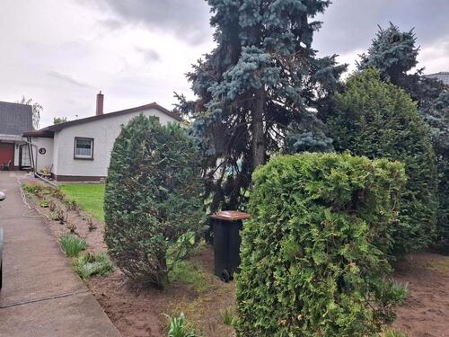Foto - Einfamilienhaus in Berlin zum Kaufen