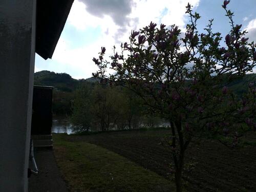 Foto - 2 Zimmer Einfamilienhaus zum Kaufen in Freilassing