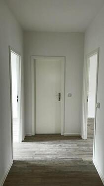 Foto - Ein Katzensprung zum Allee-Center!